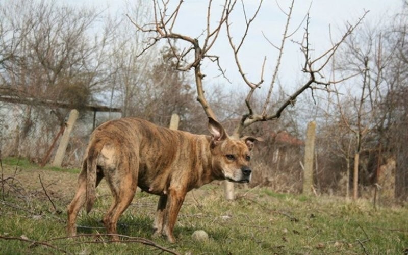 
        20&nbsp;кадров повседневной магии, которые хочется рассматривать снова и&nbsp;снова    