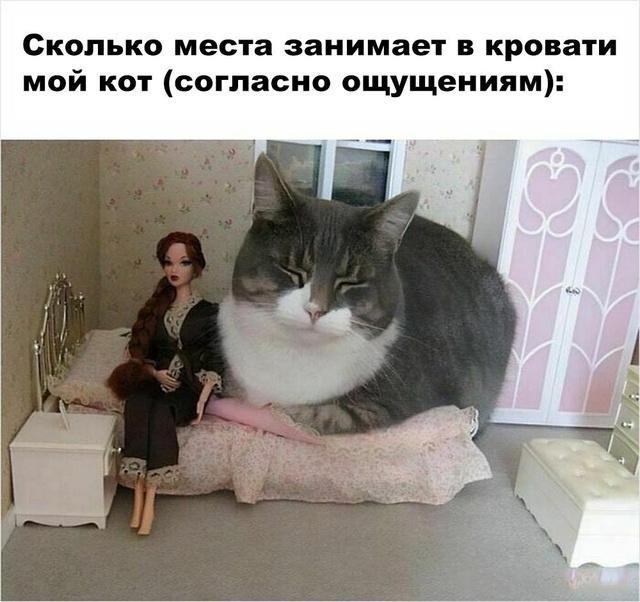 Смешные мемы об ежедневных трудностях жизни