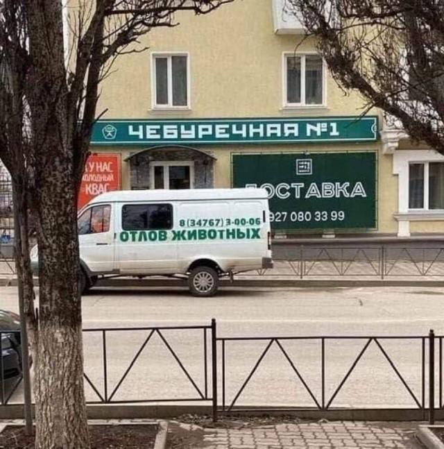 Подборка прикольных фото №3782