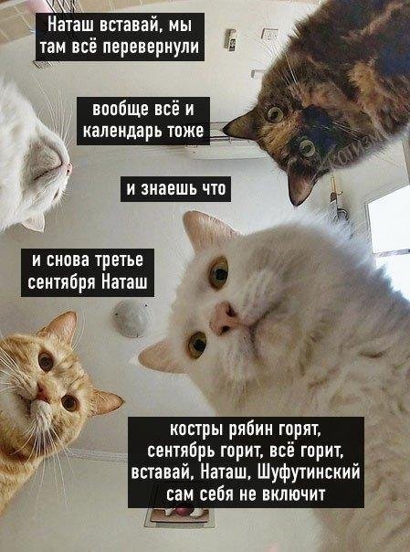 Самая полная подборка мемов про 3 сентября: мы собрали ее в честь Михаила Шуфутинфского (26 фото)