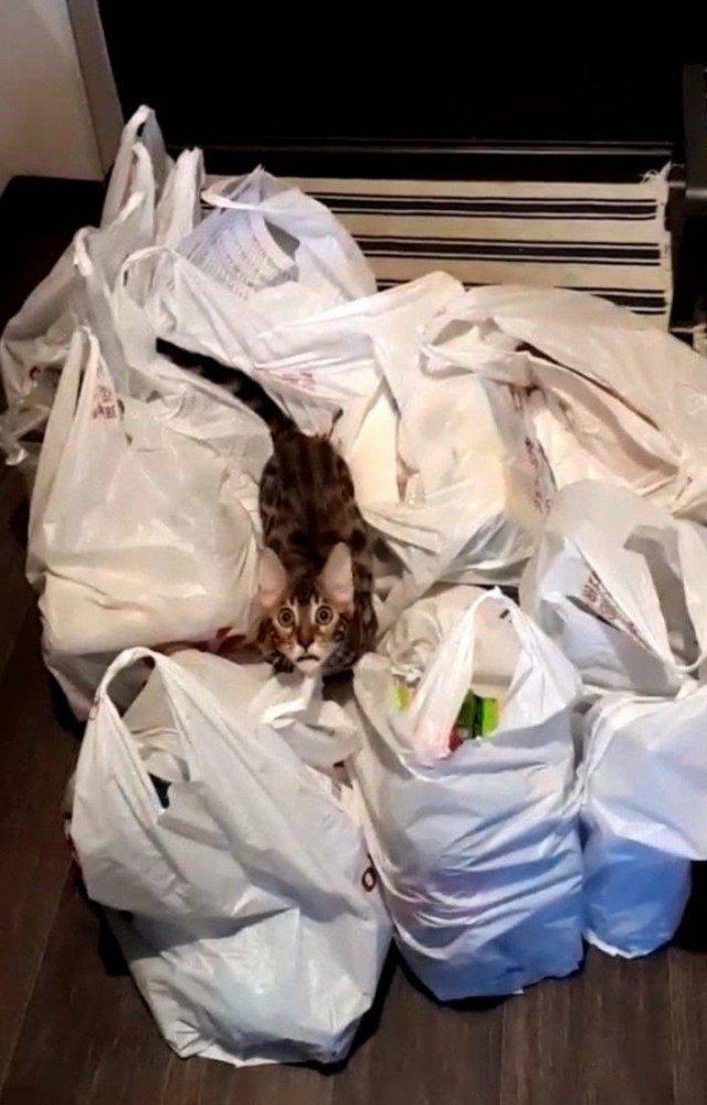 Подборка прикольных фото №3793