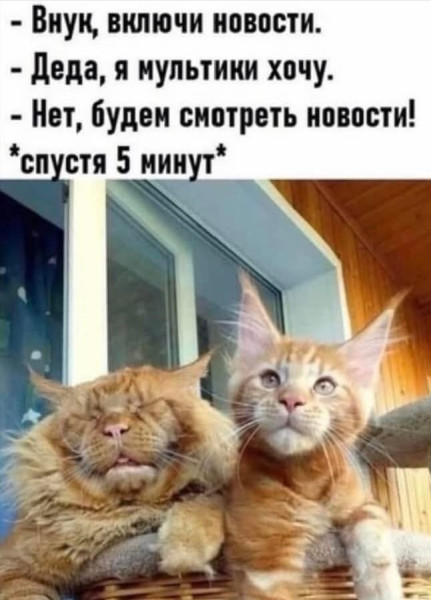Мем №1547592