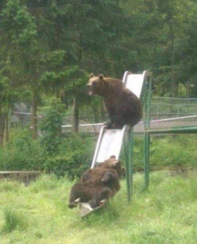 Подборка прикольных фото №3782