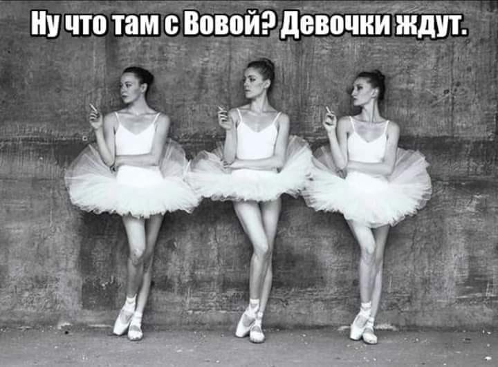 История №1543881