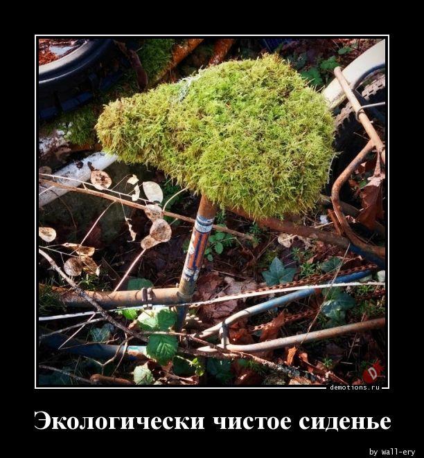 
			Демотиваторы №3732 (20 фото)