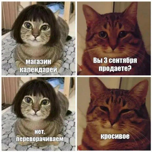 Самая полная подборка мемов про 3 сентября: мы собрали ее в честь Михаила Шуфутинфского Самая полная подборка мемов про 3 сентября: мы собрали ее в честь Михаила Шуфутинфского