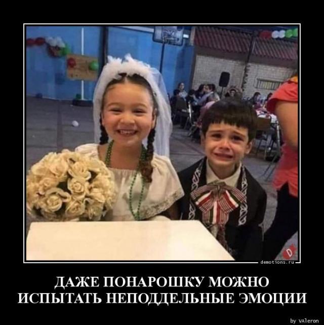 
			Демотиваторы №3729 (15 фото)