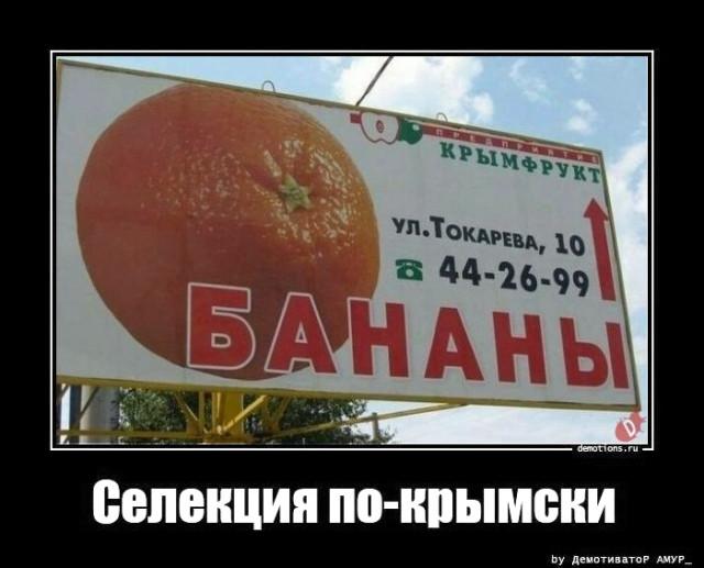 
			Демотиваторы №3732 (20 фото)