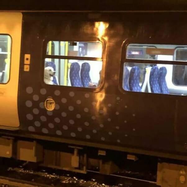 Неожиданные, странные и забавные пассажиры метро