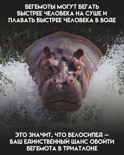 Мем №1546925