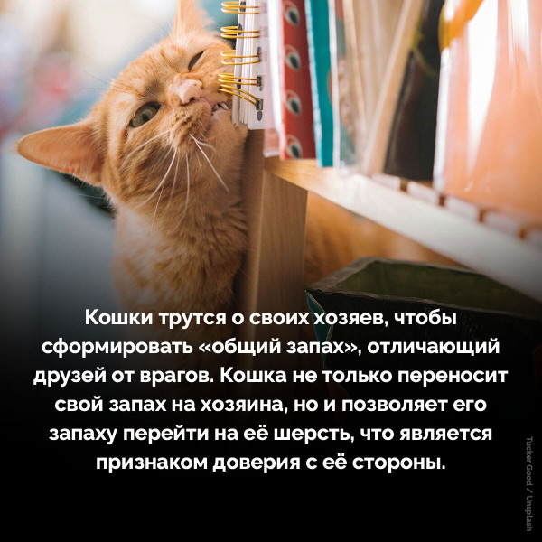 Мем №1546508
