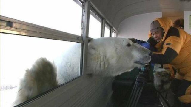 Подборка прикольных фото №3777