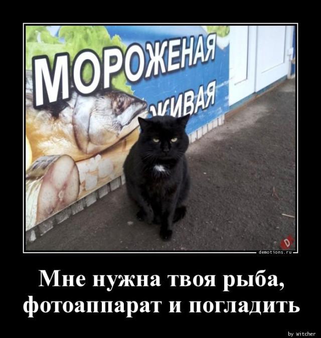 
			Демотиваторы №3738 (18 фото)