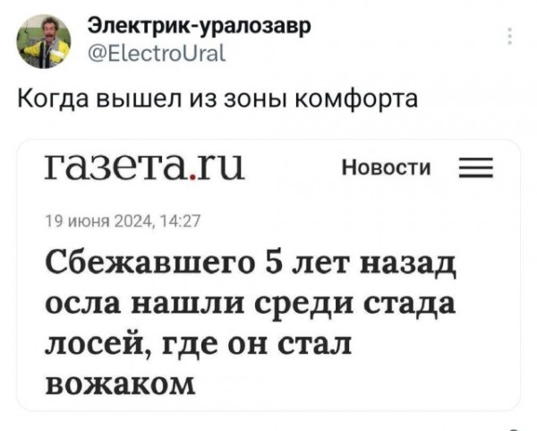Мем №1549305