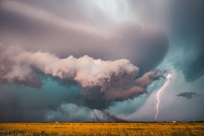 
        25 победителей фотоконкурса reFocus Awards 2025    