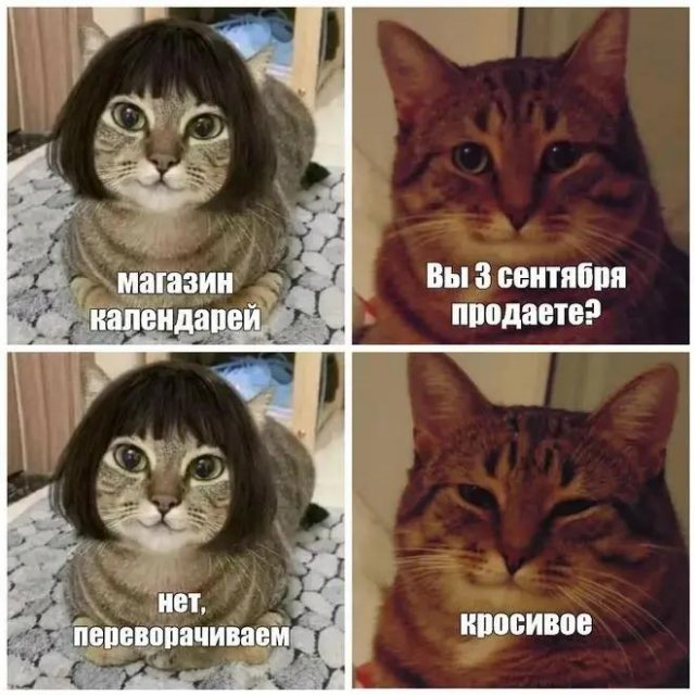 Самая полная подборка мемов про 3 сентября: мы собрали ее в честь Михаила Шуфутинфского (26 фото)