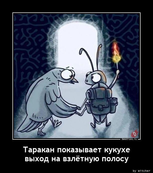 
			Демотиваторы №3720 (20 фото)