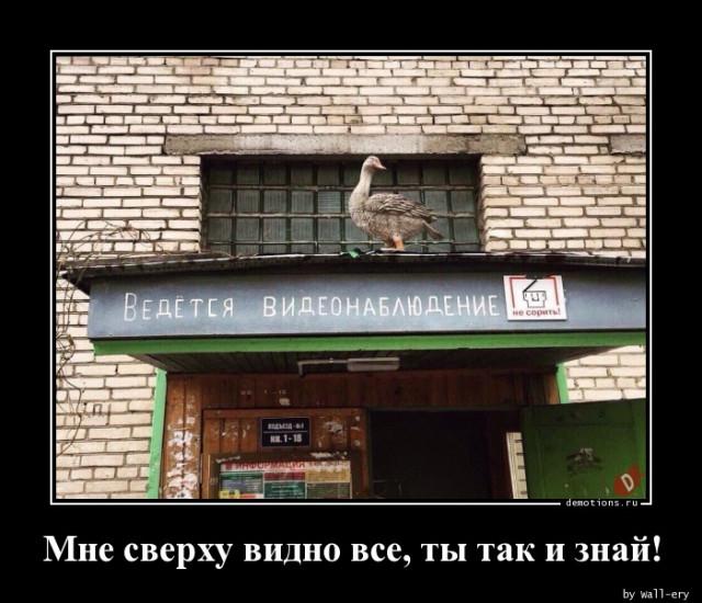 
			Демотиваторы №3731 (20 фото)
