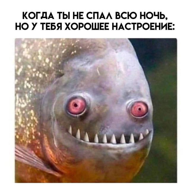 Подборка прикольных фото №3772