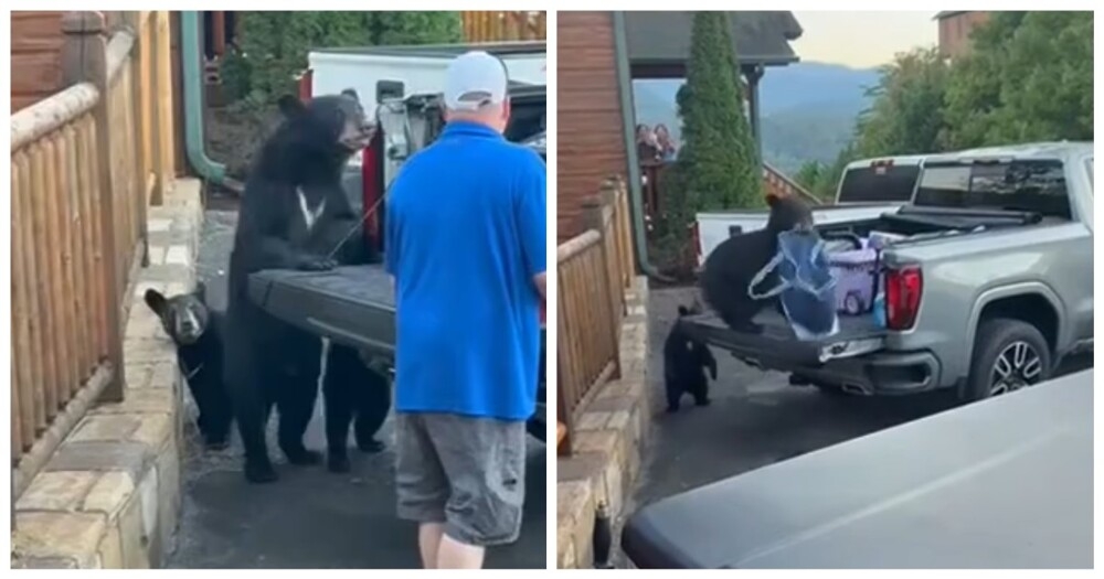 
        Ограбление средь бела дня&nbsp;в&nbsp;США    