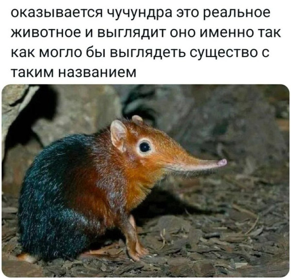 Мем №1546927