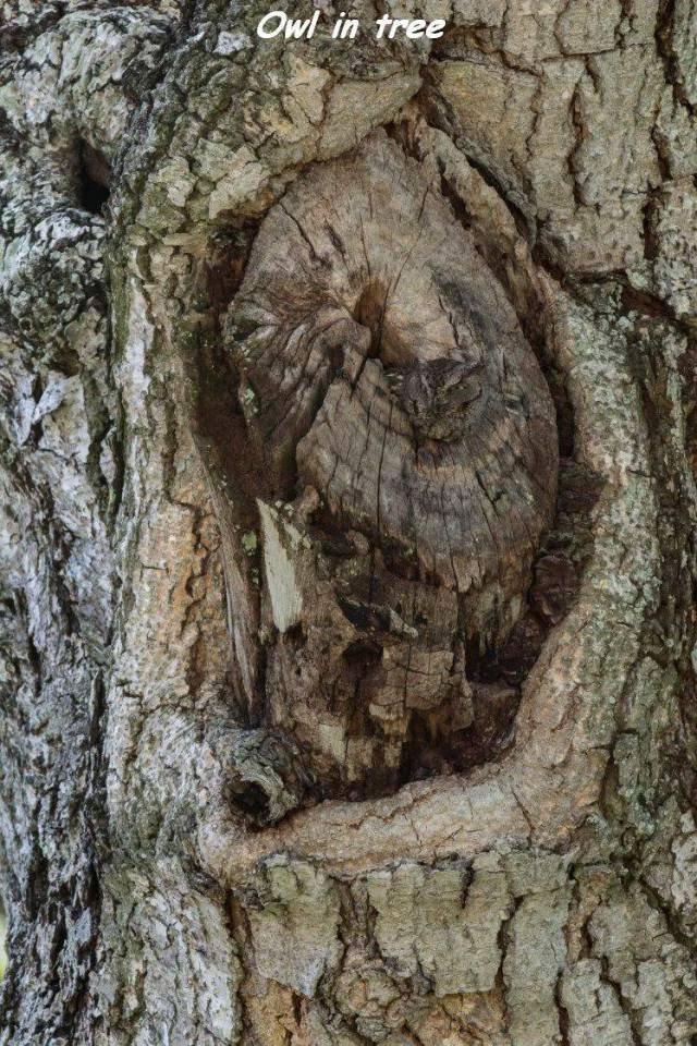 Подборка прикольных фото №3783