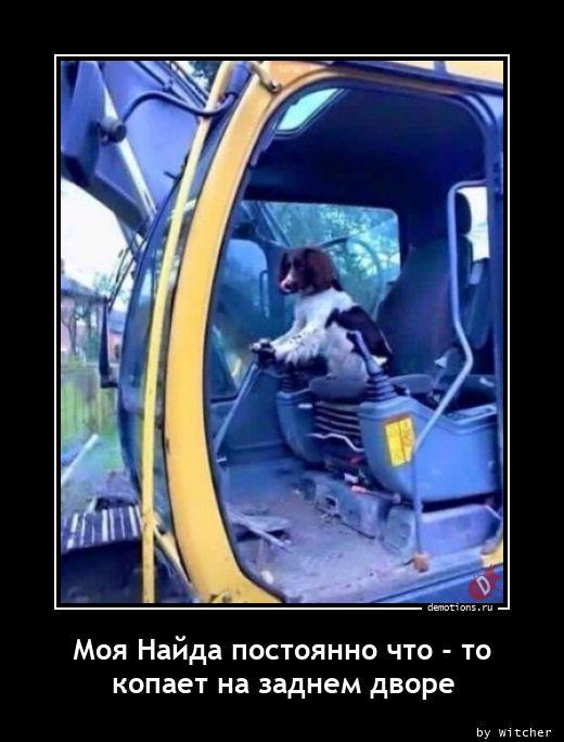 
			Демотиваторы №3726 (20 фото)