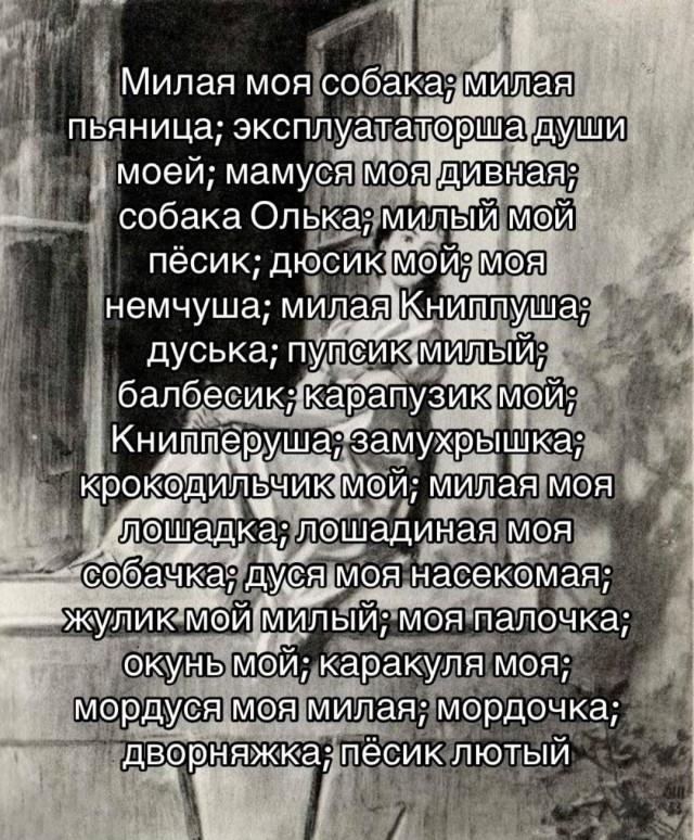 Прозвища, которыми Антон Павлович Чехов называл свою жену