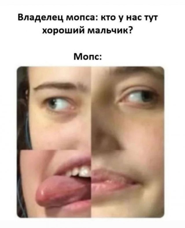 Смешные мемы - 24.09.2025 (15 фото) Смешные мемы - 24.09.2025 (15 фото)