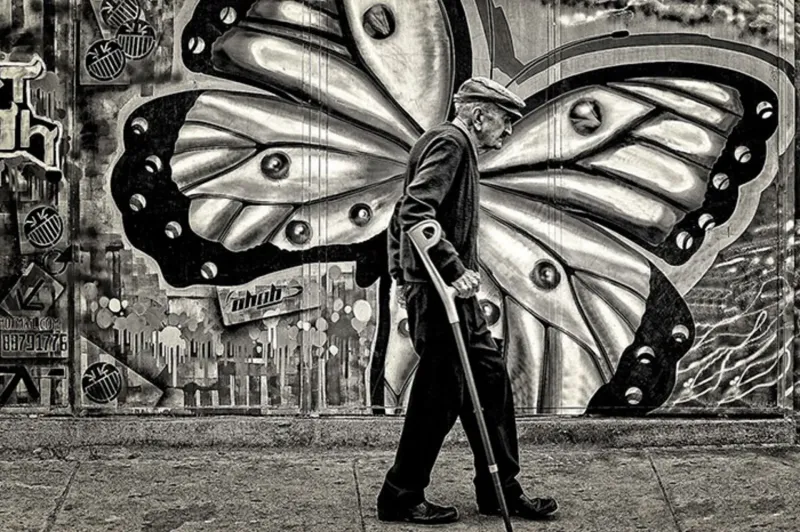 
        20&nbsp;кадров повседневной магии, которые хочется рассматривать снова и&nbsp;снова    