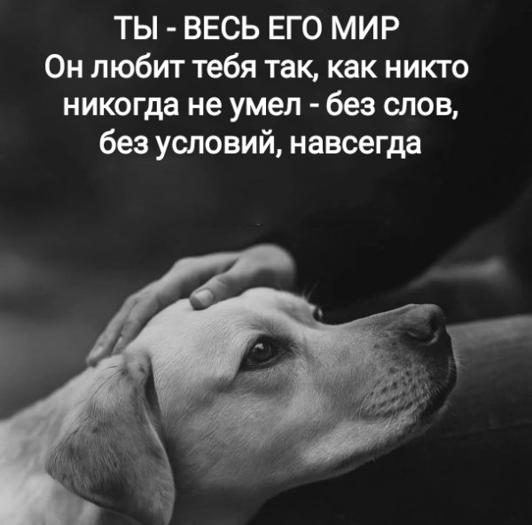 Мем №1546503