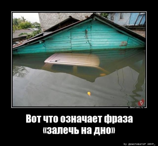 
			Демотиваторы №3735 (15 фото)
