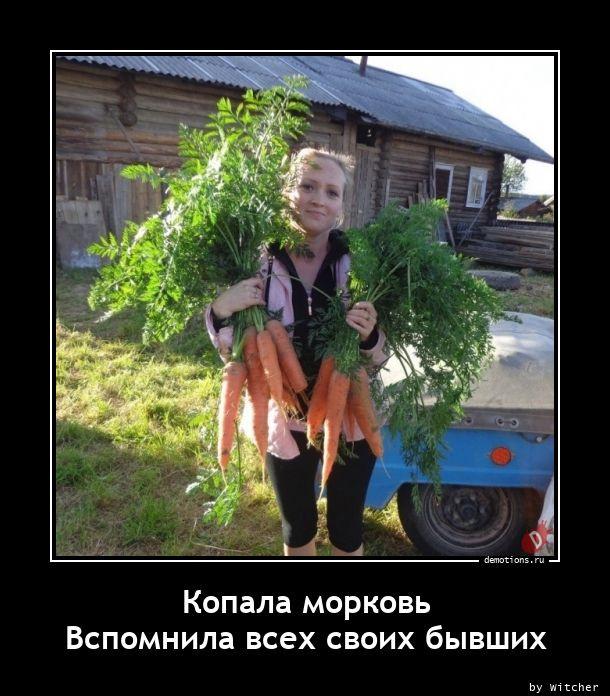 
			Демотиваторы №3729 (15 фото)