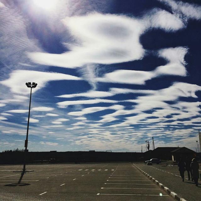 Подборка прикольных фото №3780