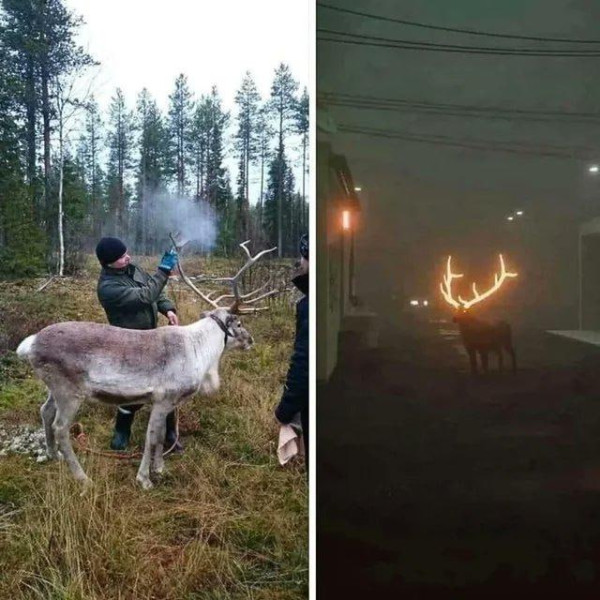 Мем №1543834