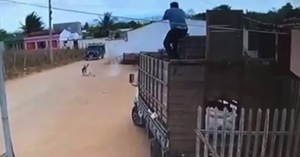 
        Грабители пожалели, что&nbsp;связались с&nbsp;фермером    