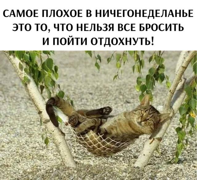 Подборка прикольных фото №3777