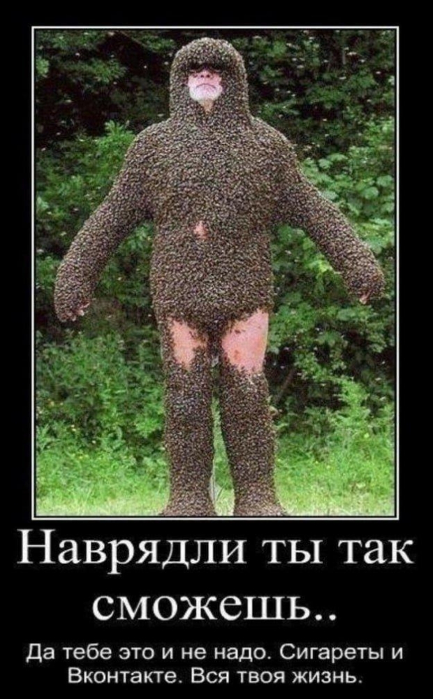 
			Демотиваторы №3719 (20 фото)