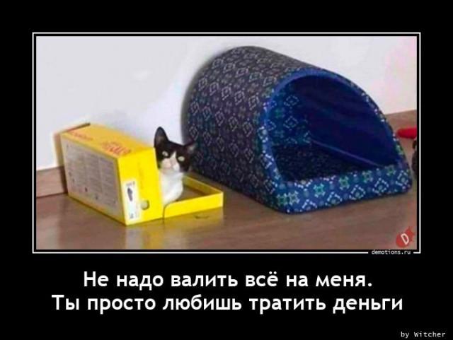 
			Демотиваторы №3718 (20 фото)