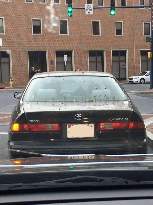 Подборка прикольных фото №3783