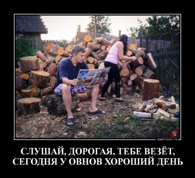 
			Демотиваторы №3725 (20 фото)