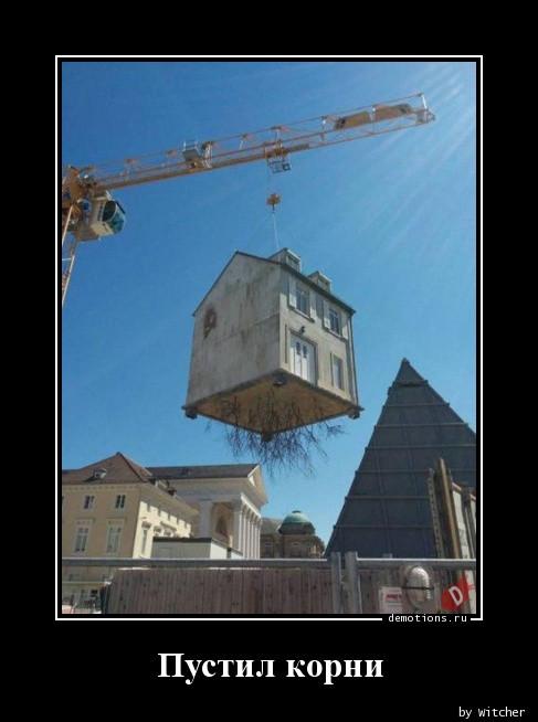 
			Демотиваторы №3728 (15 фото)