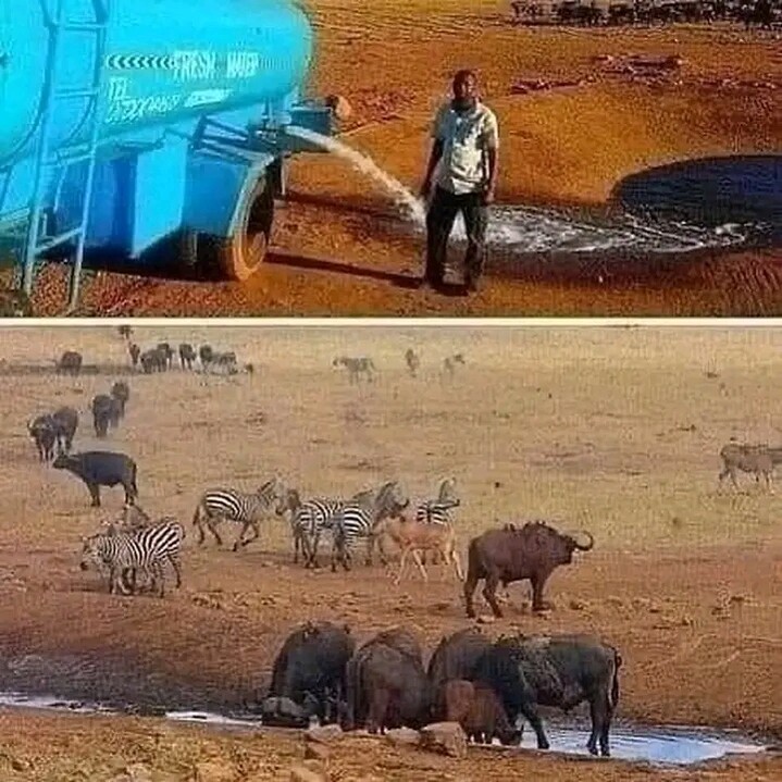 История №1545344