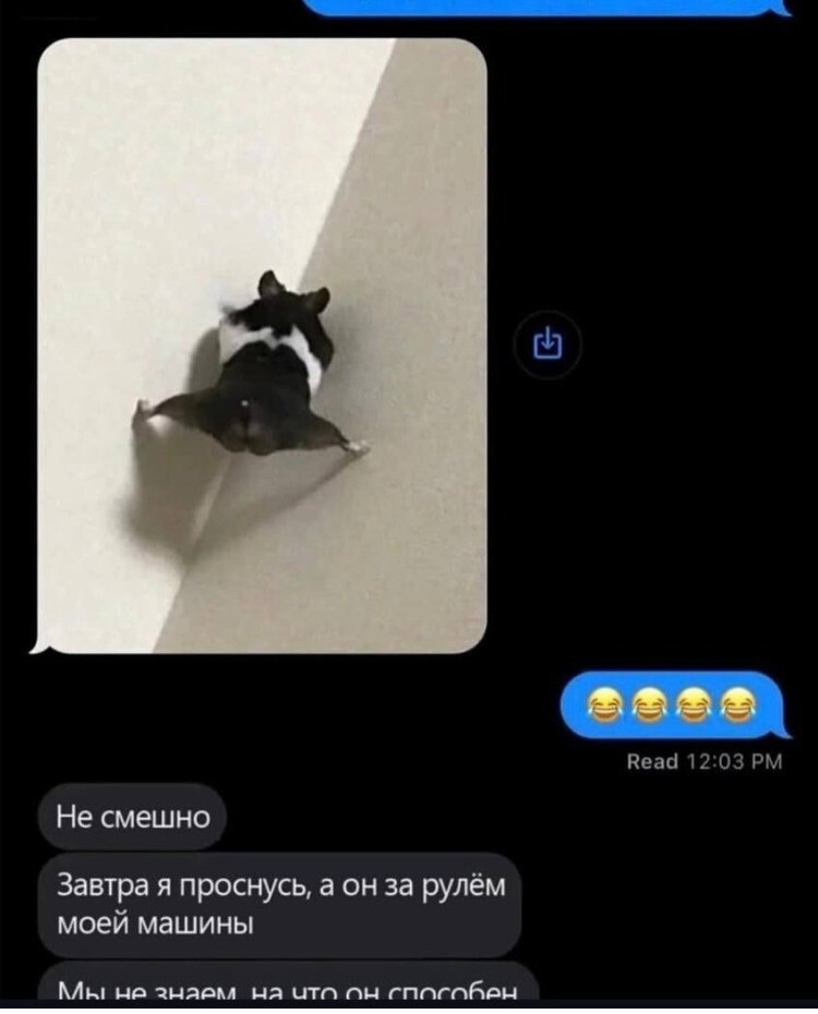 
        Боевой хомяк показал, как правильно сбегать от проблем    