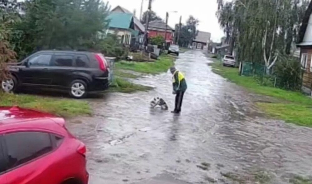 
        Пенсионер избил на улице собаку, которая не хотела домой    