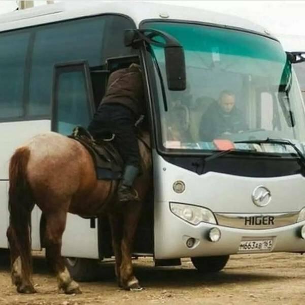 Подборка прикольных фото №3792