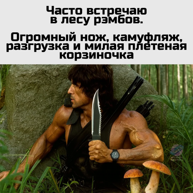 Немного грибного юмора