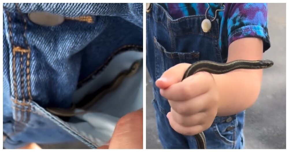 
        Девочка вернулась с&nbsp;прогулки с&nbsp;"трофеями"    