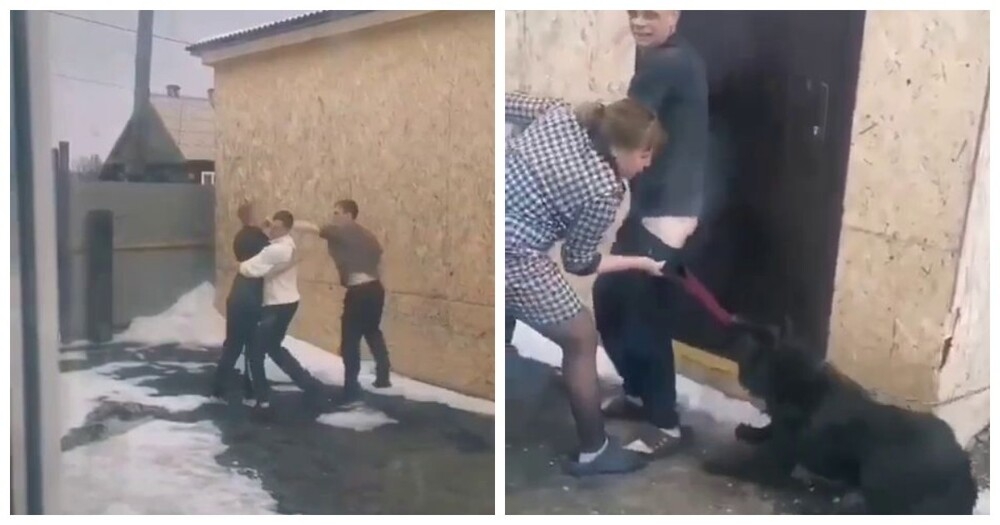 
        Когда драка выходит из-под контроля: вмешалась даже собака    