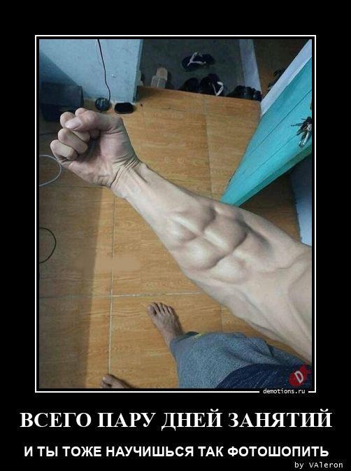 
			Демотиваторы №3751 (15 фото)